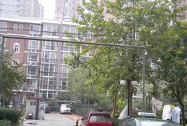 金福家園 金福家園