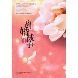 離婚戰爭 離婚戰爭