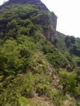 大地港村 大地港村