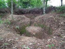 石峰村[福建永安市小陶鎮石峰村（石豐村）]