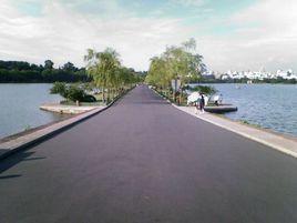 西湖白堤 西湖白堤