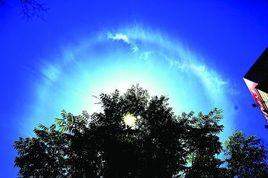 日最高溫度 日最高溫度