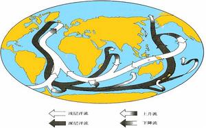 （圖）大洋環流