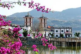 阿署達花舞人間景區 阿署達花舞人間景區