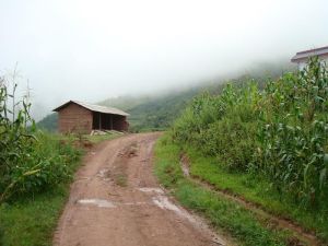 界面自然村 界面自然村