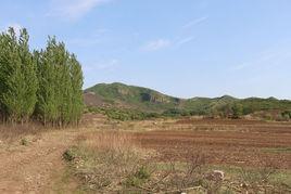 小塔子村 小塔子村