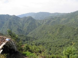 小白泥村 小白泥村