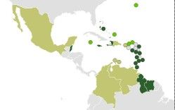 加勒比海共同體 加勒比海共同體
