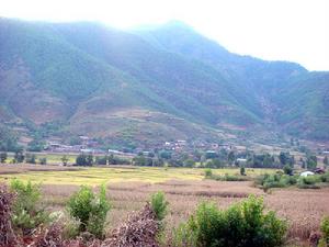 甘溝自然村 甘溝自然村