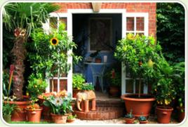 失落花園 失落花園