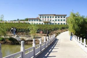 昌黎華夏莊園 昌黎華夏莊園