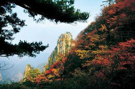 鷹城八景 鷹城八景