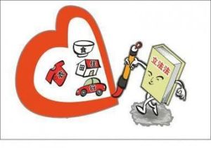 立法原則 立法原則