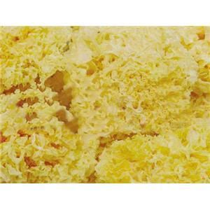 古田瓶栽銀耳 古田瓶栽銀耳