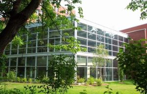 麥馬斯特大學 麥馬斯特大學