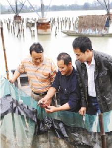 （圖）火龍崗鎮