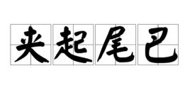 夾起尾巴 夾起尾巴