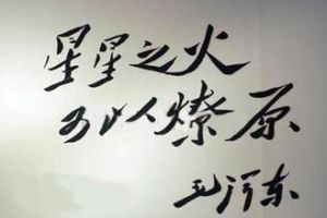《星星之火,可以燎原》 《星星之火,可以燎原》