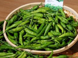 樟樹港辣椒 樟樹港辣椒