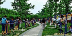 上海市公園管理條例 上海市公園管理條例