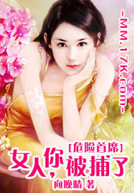 危險首席：女人，你被捕了