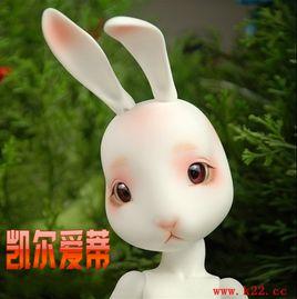 凱爾愛蒂 凱爾愛蒂