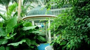 聯邦空中花園 聯邦空中花園