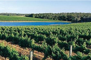 瑪格麗特河 瑪格麗特河