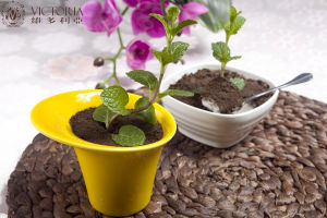 維多利亞盆栽冰淇淋