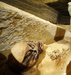 埃及塞加拉地區新出土二十多具木乃伊