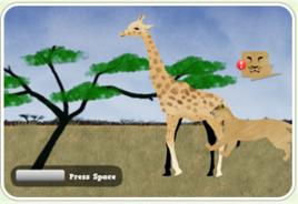 保護長頸鹿 保護長頸鹿