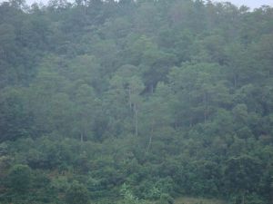 上曼灣自然村 上曼灣自然村