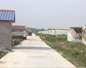 燕子埠鎮 燕子埠鎮