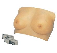 乳房檢查模型