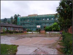 李子園村 李子園村