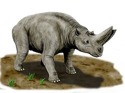 重腳獸（Arsinoitherium）是已滅絕的近蹄類，與象及蹄兔目有關。它們外表像犀牛，是草食性動物，生存於3600-3000萬年前始新世晚期至漸新世早期的熱帶雨林及沼澤邊緣。重腳獸的學名是為紀念埃及托勒密二世的皇后阿爾西諾伊二世而取的，因為最初的化石是在其宮殿的廢墟附近發現。這裡發現的骨骼是唯一完整的。最著名的物種是齊氏重腳獸；第二個物種A. giganteum是於2003年在衣索比亞發現。這些化石可以追溯至2700萬年前。