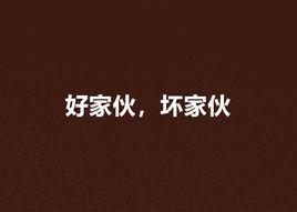 好傢夥,壞傢伙 好傢夥,壞傢伙