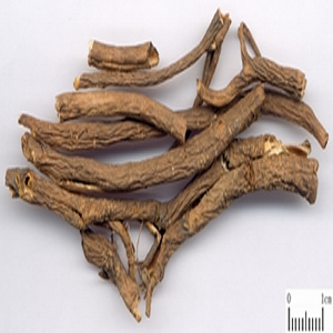 混合性結締組織病