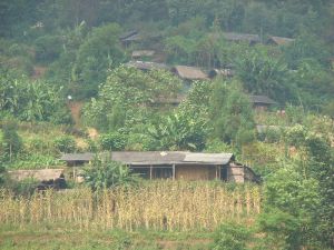 巴拉的村 巴拉的村