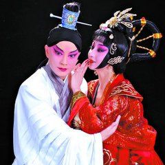 《蝶海情》 《蝶海情》