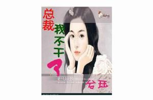 總裁我不幹了 總裁我不幹了