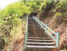 休閒養生木棧道