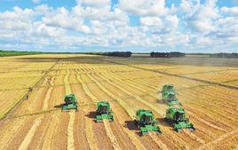 現代化大農業 現代化大農業