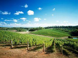 阿德萊德山區 阿德萊德山區