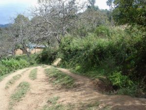 下溫自然村 下溫自然村