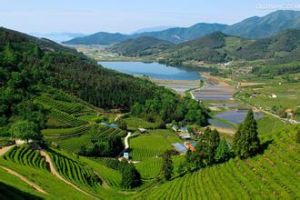 全羅南道 全羅南道