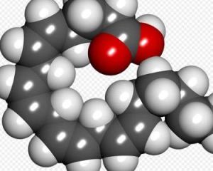 ARA[德國女鞋品牌]