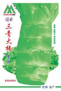 三青大棒香筍 三青大棒香筍