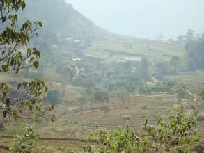 腳木自然村 腳木自然村