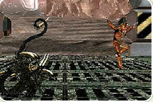 鐵血戰士戰異形